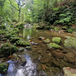 Mount Isarog National Park - Naga