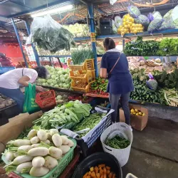 Naga City Public Market - Naga