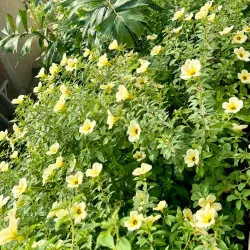 Biliran Eco-Park - Naval