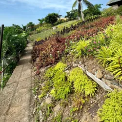 Biliran Eco-Park - Naval