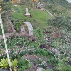 Biliran Eco-Park - Naval