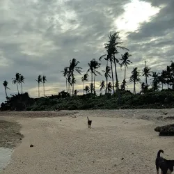 Biliran Museum - Naval