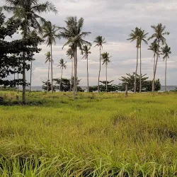 Biliran Museum - Naval