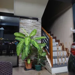 Biliran Museum - Naval