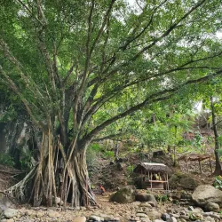 Tinago Falls - Naval