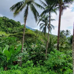 Tinago Falls - Naval