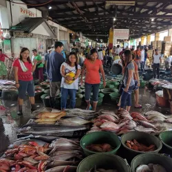 Navotas Fish Port Complex - Navotas City