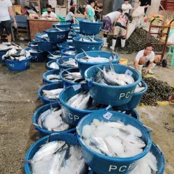 Navotas Fish Port Market - Navotas City