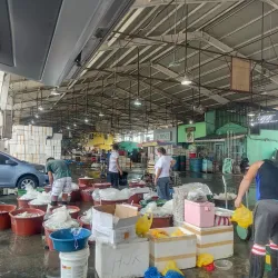 Navotas Fish Port Market - Navotas City