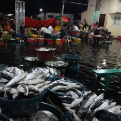 Navotas Fish Port Viewing Deck - Navotas City