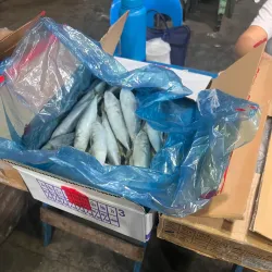 Navotas Fish Port Viewing Deck - Navotas City