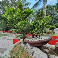 Navotas River Park - Navotas City