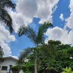 Navotas River Park - Navotas City