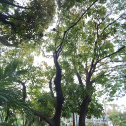 Navotas River Park - Navotas City