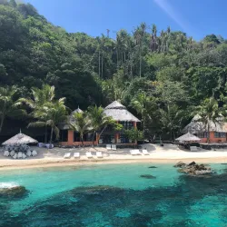 Apo Island Marine Sanctuary - Negros