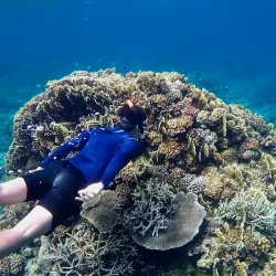 Apo Island Marine Sanctuary - Negros