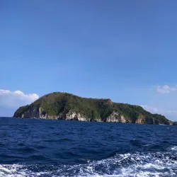 Apo Island Marine Sanctuary - Negros