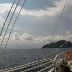 Apo Island Marine Sanctuary - Negros