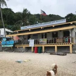Apo Island Marine Sanctuary - Negros