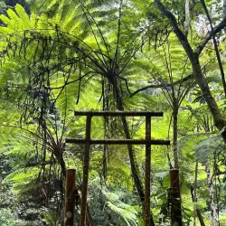 Casaroro Falls - Negros