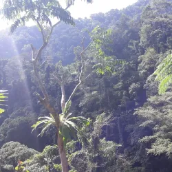 Casaroro Falls - Negros