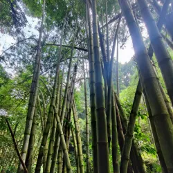 Casaroro Falls - Negros