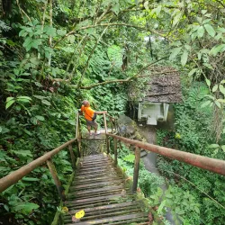 Casaroro Falls - Negros