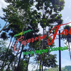 Casaroro Falls - Negros