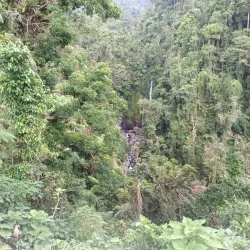 Mount Kanlaon Natural Park - Negros
