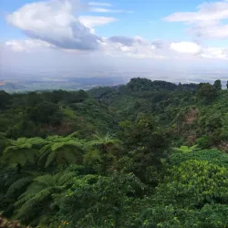 Mount Kanlaon Natural Park - Negros