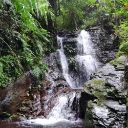 Twin Lakes, Negros Occidental - Negros