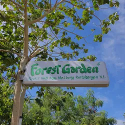 Pantabangan Forest Park - Nueva Ecija