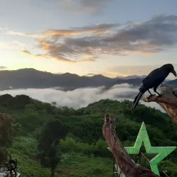 Pantabangan Forest Park - Nueva Ecija