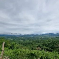 Pantabangan Forest Park - Nueva Ecija