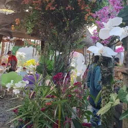 Pantabangan Forest Park - Nueva Ecija