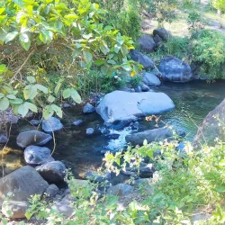 Gordon Heights - Olongapo