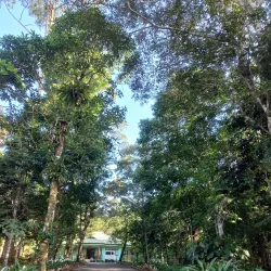 Lake Danao Fish Sanctuary - Ormoc