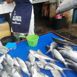 Ormoc City Public Market - Ormoc