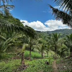 Tongonan Falls - Ormoc