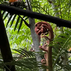 Tongonan Falls - Ormoc