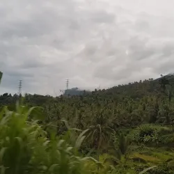 Tongonan Geothermal Power Plant - Ormoc