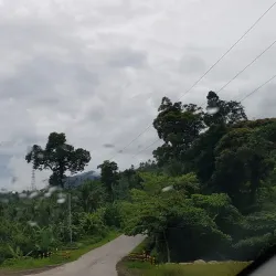 Tongonan Geothermal Power Plant - Ormoc