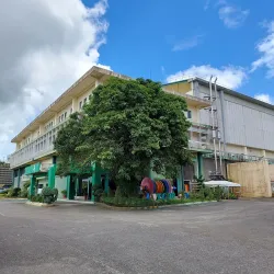 Tongonan Geothermal Power Plant - Ormoc