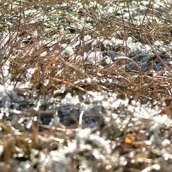 Mabuhay Park - Pagadian