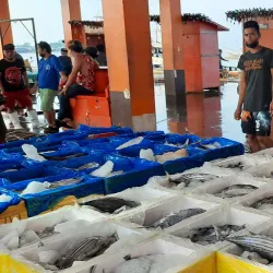 Pagadian City Fish Port - Pagadian