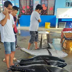 Pagadian City Fish Port - Pagadian