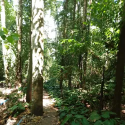 Pagadian City Museum - Pagadian