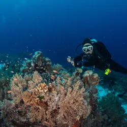 Tubbataha Reefs Natural Park - Palawan