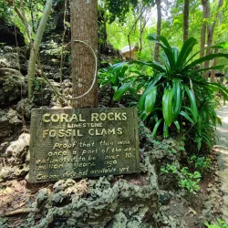 Enchanted Cave - Pangasinan