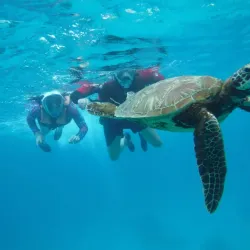 Balicasag Island - Panglao